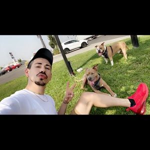 Meet your Posher, Martin